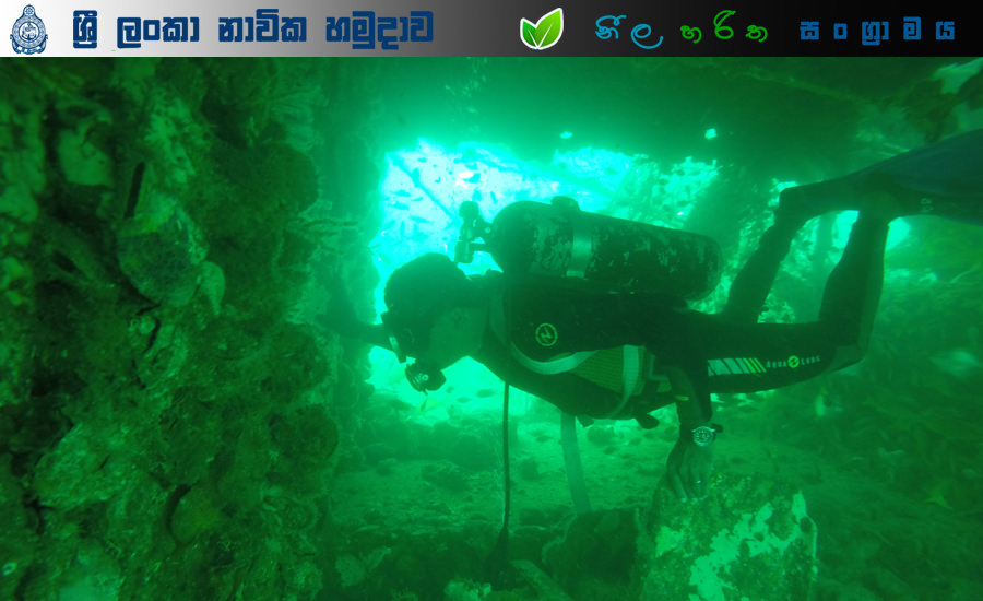 underwater marine 5